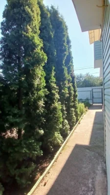 Продаж приватного будинку, Новомиколаівка