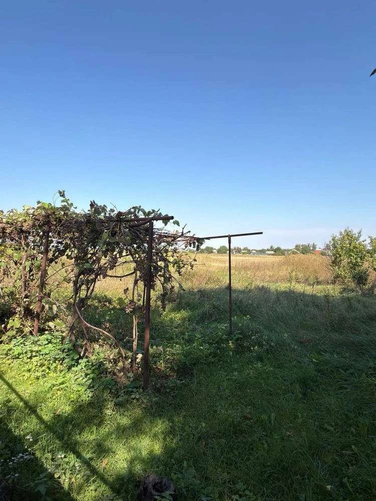 Видеообзор! Продам ДОМ на Левом берегу | 15 соток земли | Хо