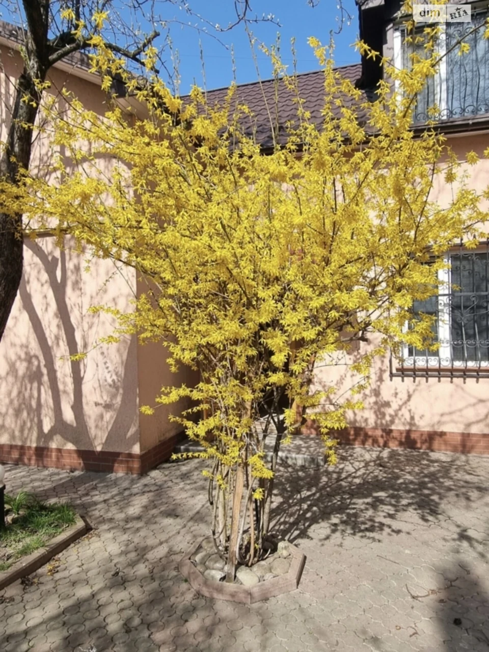 Довгострокова Оренда Дім Майзлі