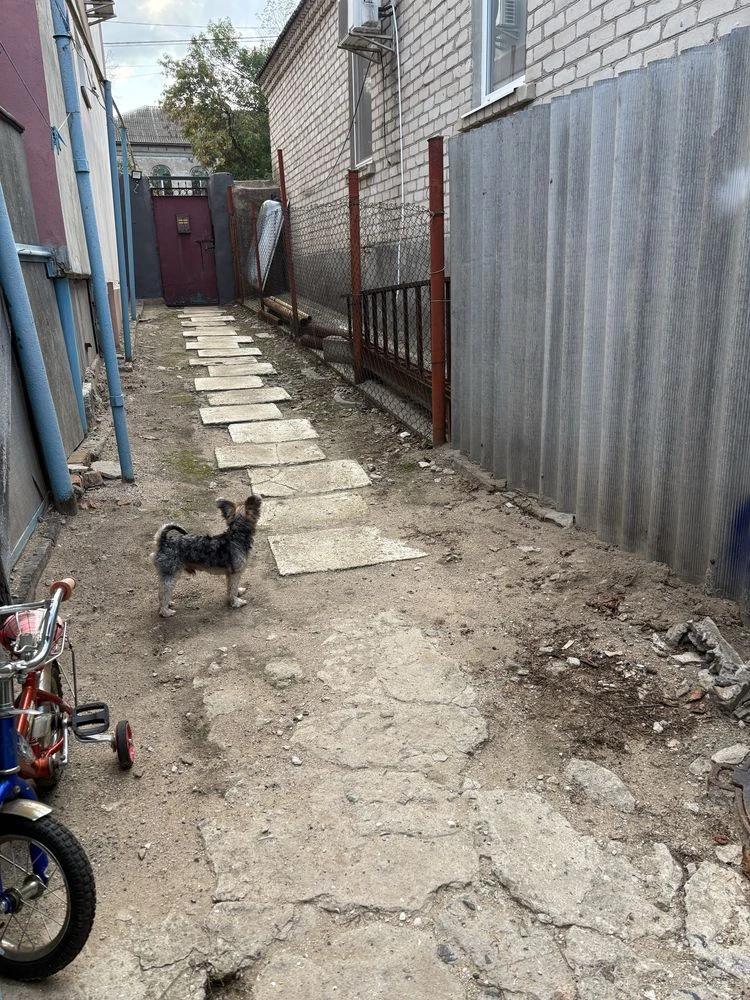Продам будинок.