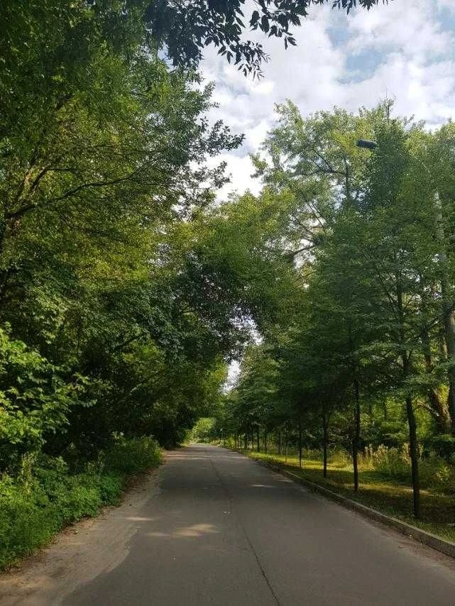 Продаж фасадної ділянки в лісі. Пуща Водиця . Лісова.