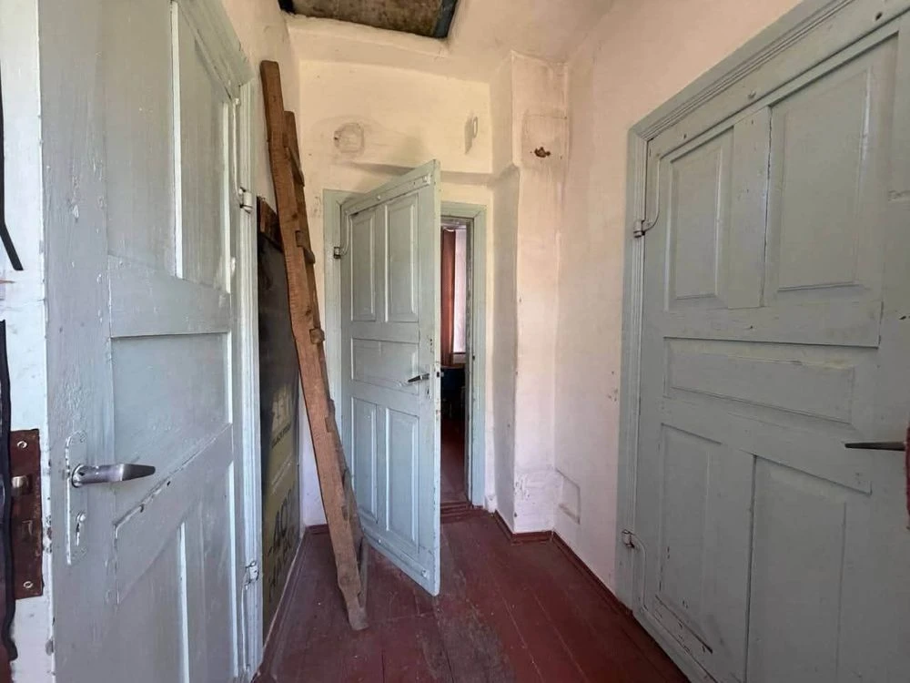 Продаж будинку Ружичанка