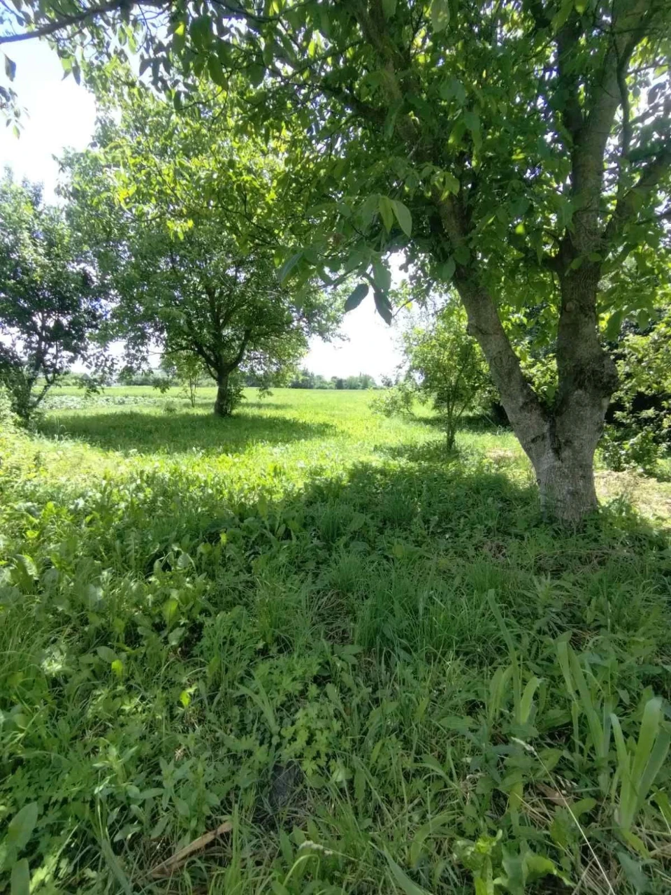 продаж будинку Чуднівський район
