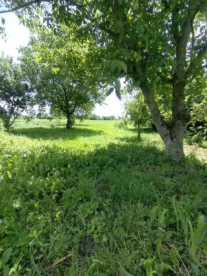 продаж будинку Чуднівський район