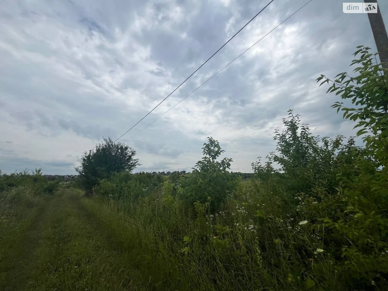 Продаж Земля сільськогосподарського призначення