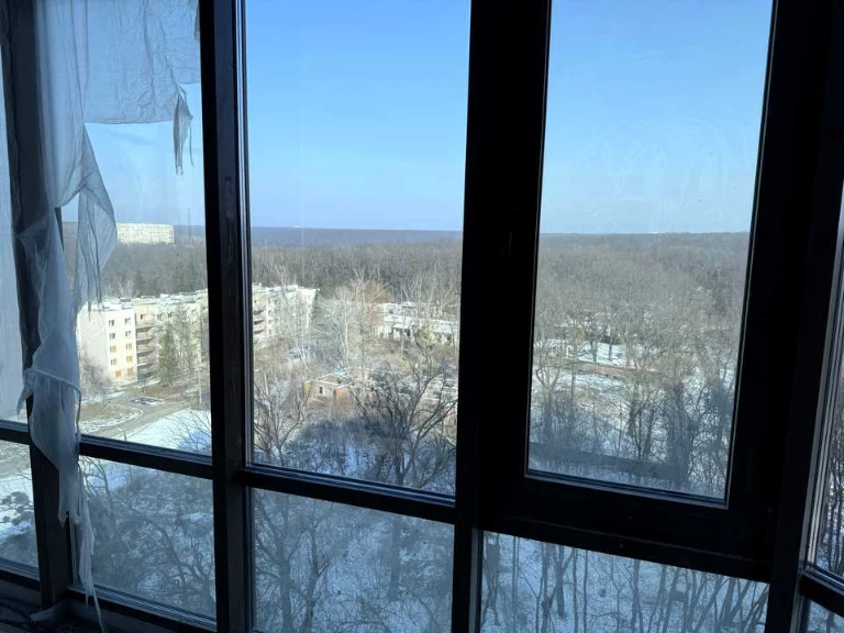 Квартира. Харків, Професорська вул.