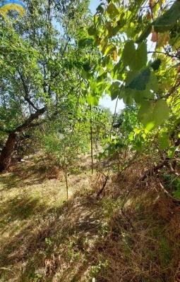 Срочно продаю 2 эт. дом, микрорайон Варваровка, город Никола