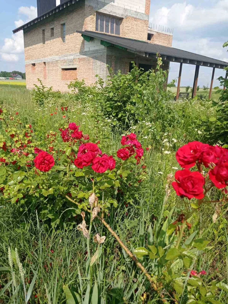 Земельна Ділянка 70 СОТОК + Якісне Незавершене Будівництво