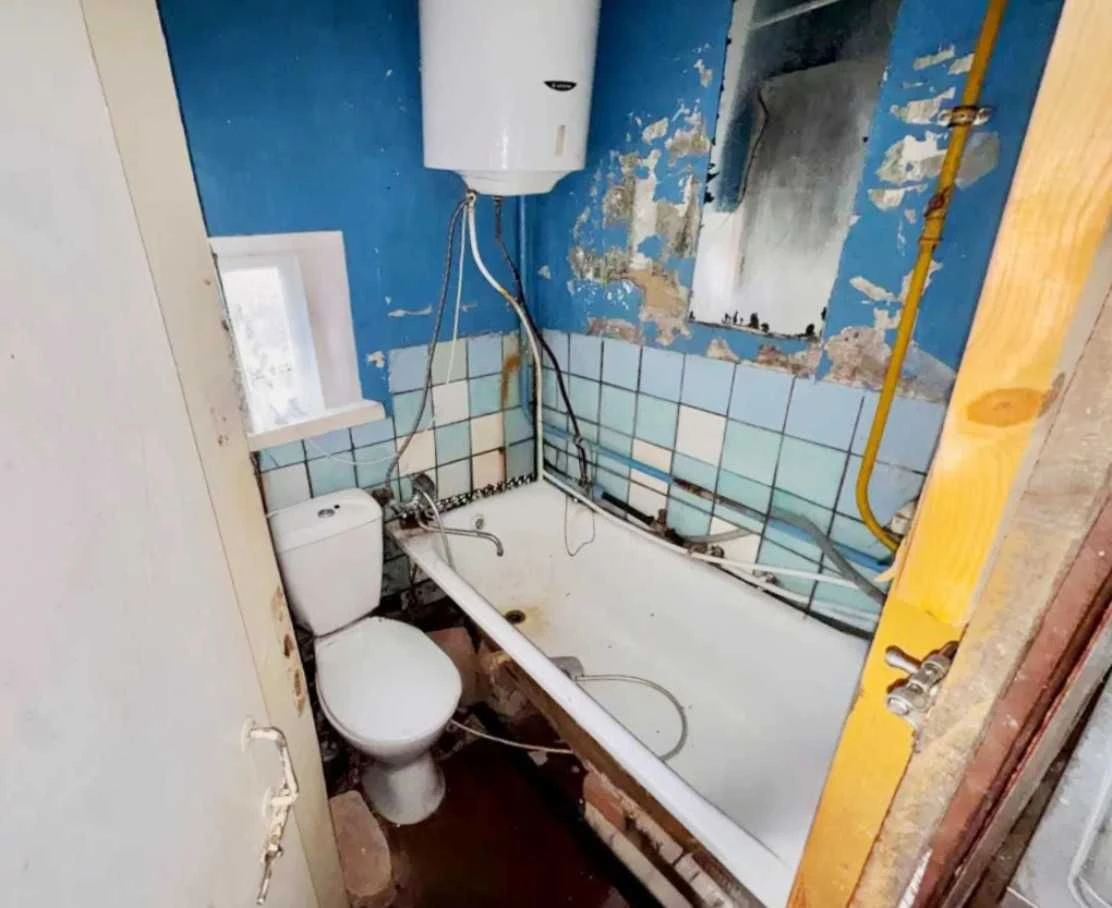 Будинок з великим участком в Києві, на березі озера, Бортнич