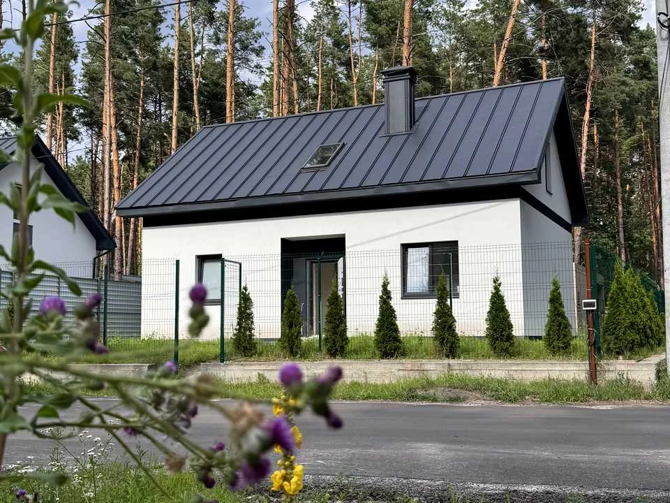 Будинок. Київ, Лісовий пров.