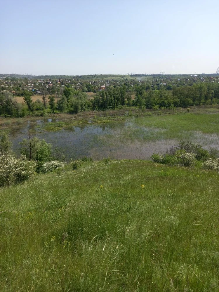 Продам поле 12 га в хортицькому мікрарайоні