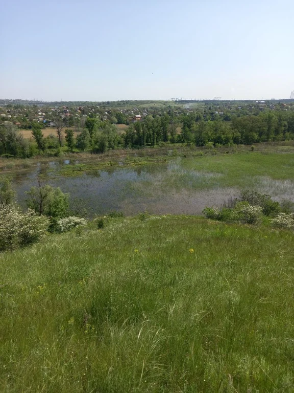 Продам поле 12 га в хортицькому мікрарайоні
