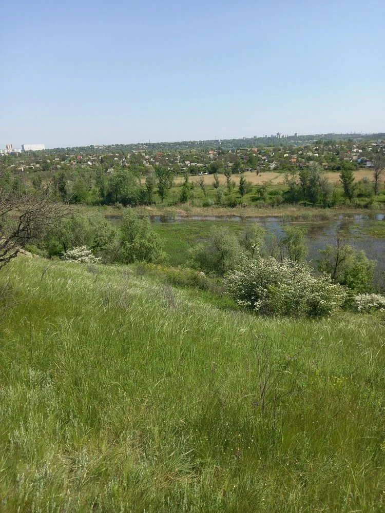 Продам поле 12 га в хортицькому мікрарайоні