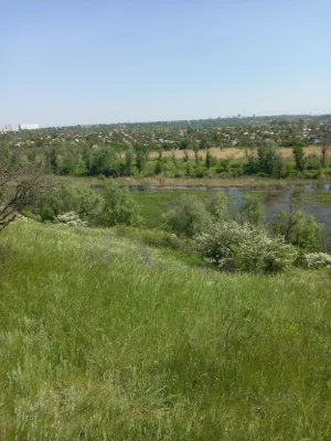 Продам поле 12 га в хортицькому мікрарайоні