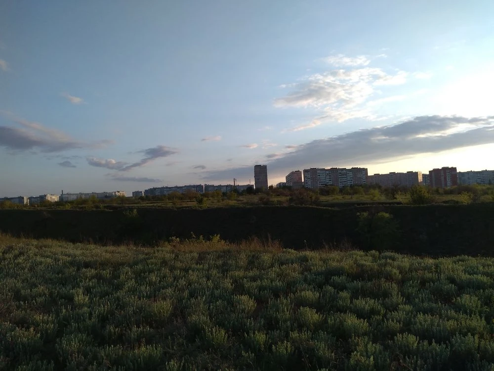 Продам поле 12 га в хортицькому мікрарайоні