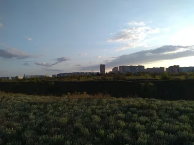 Продам поле 12 га в хортицькому мікрарайоні