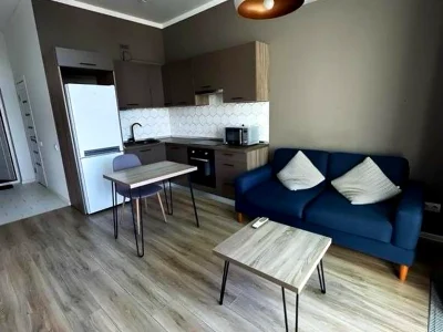 Оренда квартири 1-кімн. 50 м² 24/25 пов.