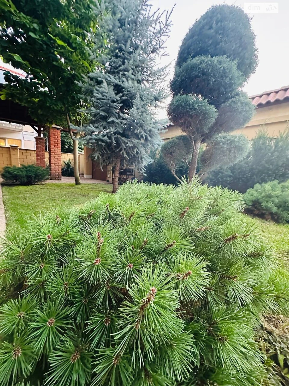 House for sale Sauvignon