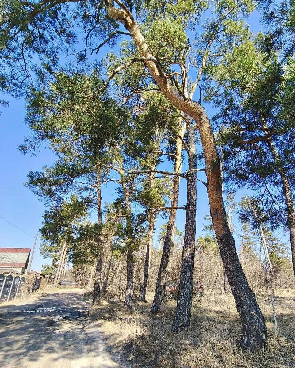 Продам приватизовану дачу у Пролетарському Гаю, біля озера З