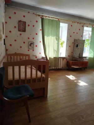 Продам дом с участком, подвалом, садом и виноградником в Оде
