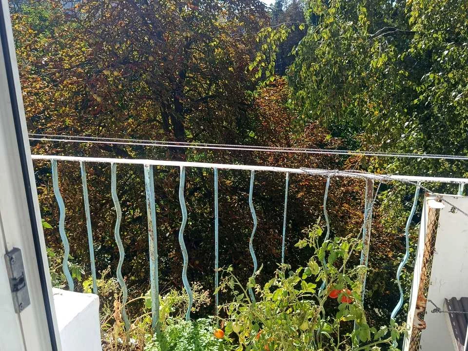 Квартира. Київ, Мукачівська вул.