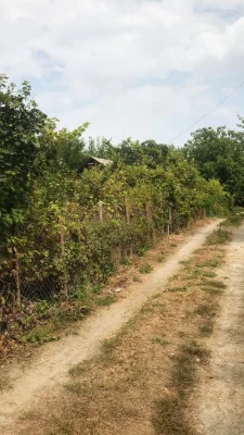 Продам   дачу в городе район  Космос