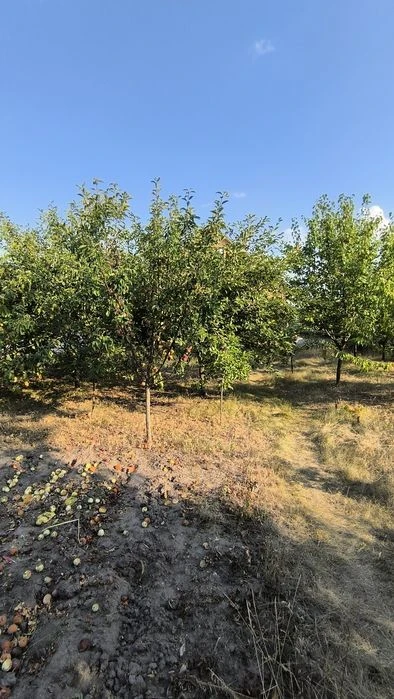 Будинок Стара Балашівка 3 кім.Сертифікат