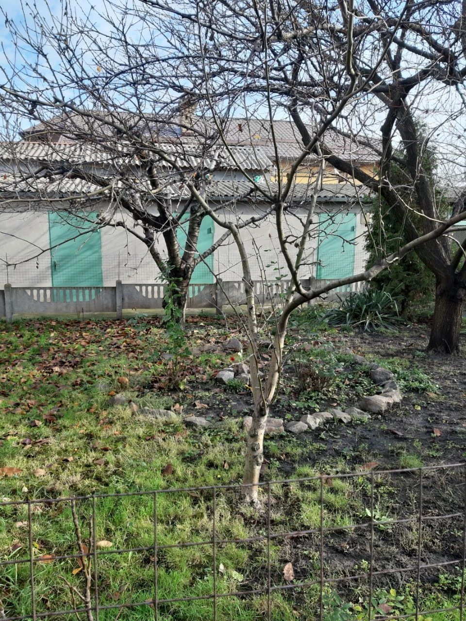 Продам будинок (продам дом)