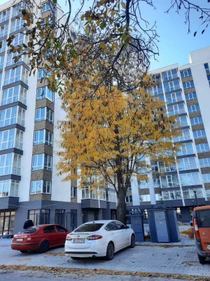 Продам по Госпрограмме 1 ком квартира. Черемушки.