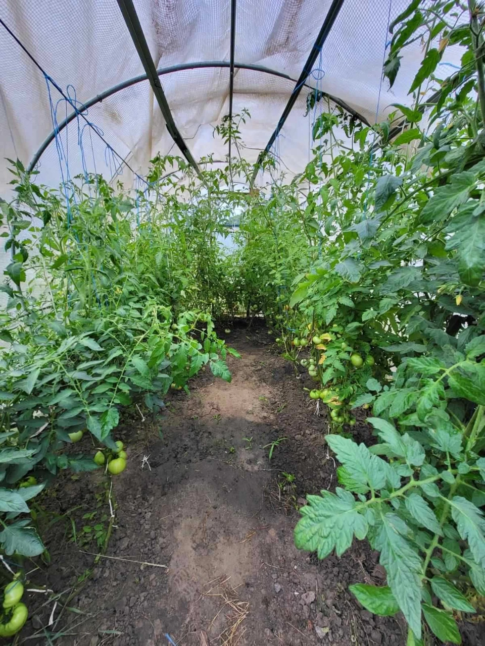 Продаж будинку зі срубу з характером у Яциній Слобідці! Код
