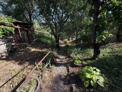 Будинок в центральній частині міста, кухня-студія та 3 окрем