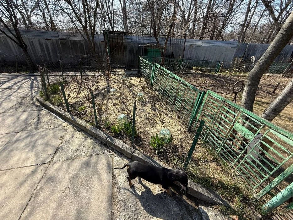 Затишний будинок на Монастирській Горі від Власника