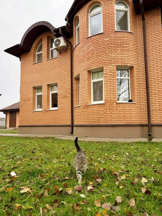 Продаж цегляного двоповерхового будинку 128 м2 з банею.