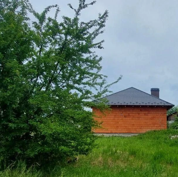 Будинок, Подлипники, 100 м²