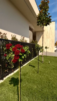 Котедж біля Ужгорода | сучасний будинок у котеджному містечк
