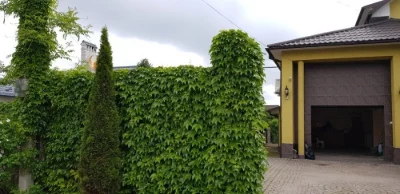 Розкішний будинок ,дослідна станція 10 соток, басейн, сауна,