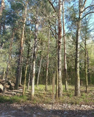 Новий будинок 135 м² біля соснового лісу, 5 хв до Вишеньки