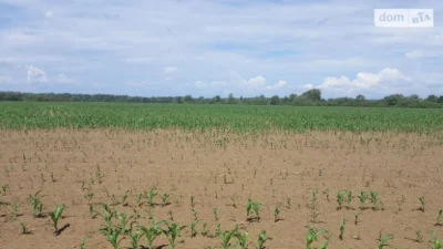 продается земельна ділянка 10 хв до УЖГОРОДА