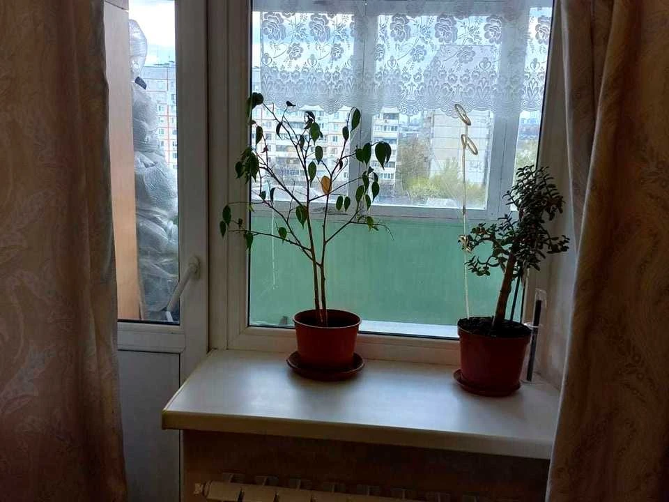 Квартира. Харків, Життєрадісний пров.