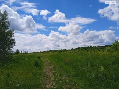 Продаж Земля сільськогосподарського призначення Старе місто