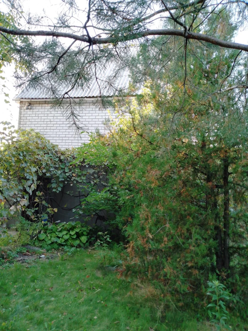 Продам дачу будинок 73 м. в Таромськом біля Дніпра
