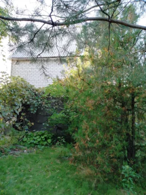 Продам дачу будинок 73 м. в Таромськом біля Дніпра