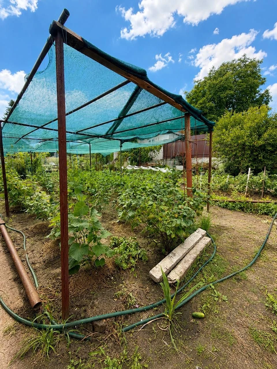 Продам Дом 129м, Приват 7.4 Диевка Гайдомацька Новокайдацкий