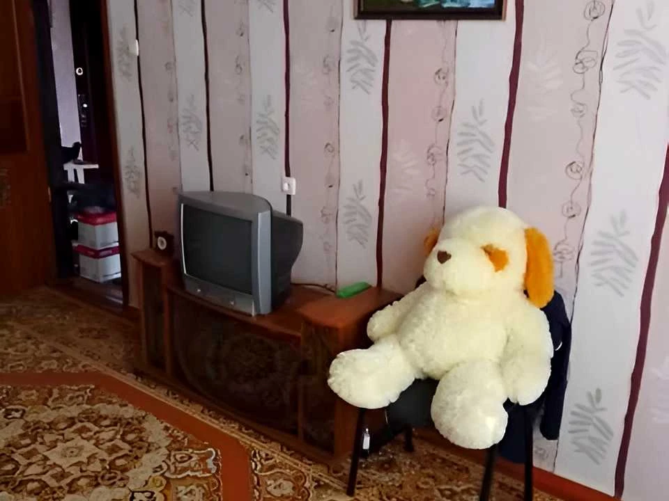 Квартира. Полтава, Кузьми Скрябіна вул.