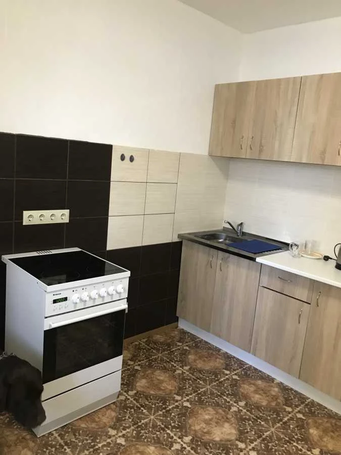 Аренда 1-комнатной квартиры 40.5 м², Ярослава Гашека бул., 2