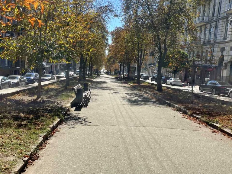 Квартира. Київ, Антоновича вул.