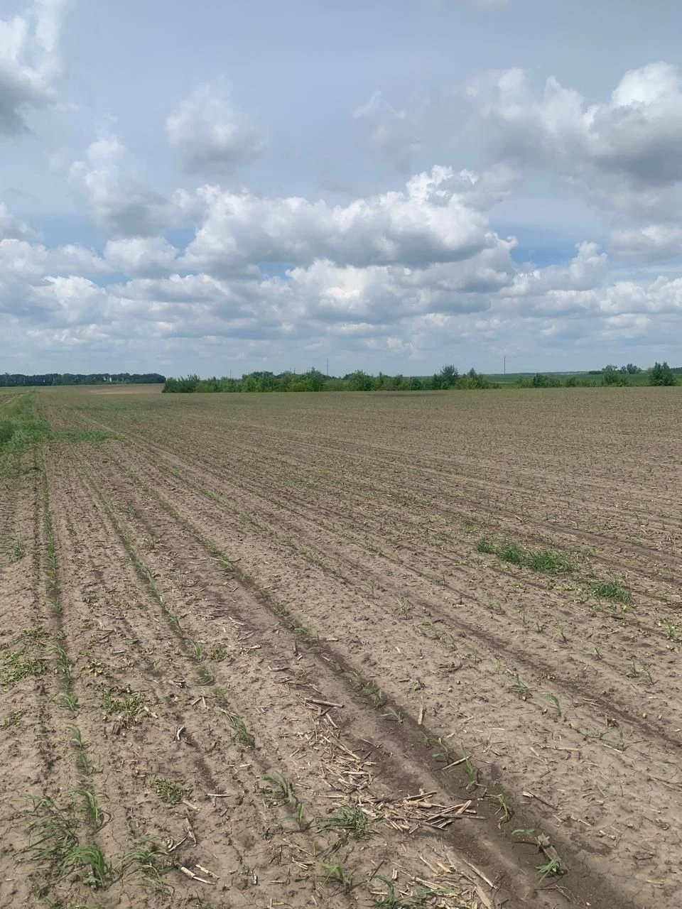 Продаж землі  Рівеньска обл. под ягоду, траву . є канали 100