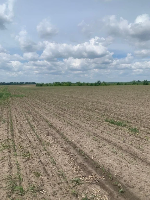 Продаж землі  Рівеньска обл. под ягоду, траву . є канали 100
