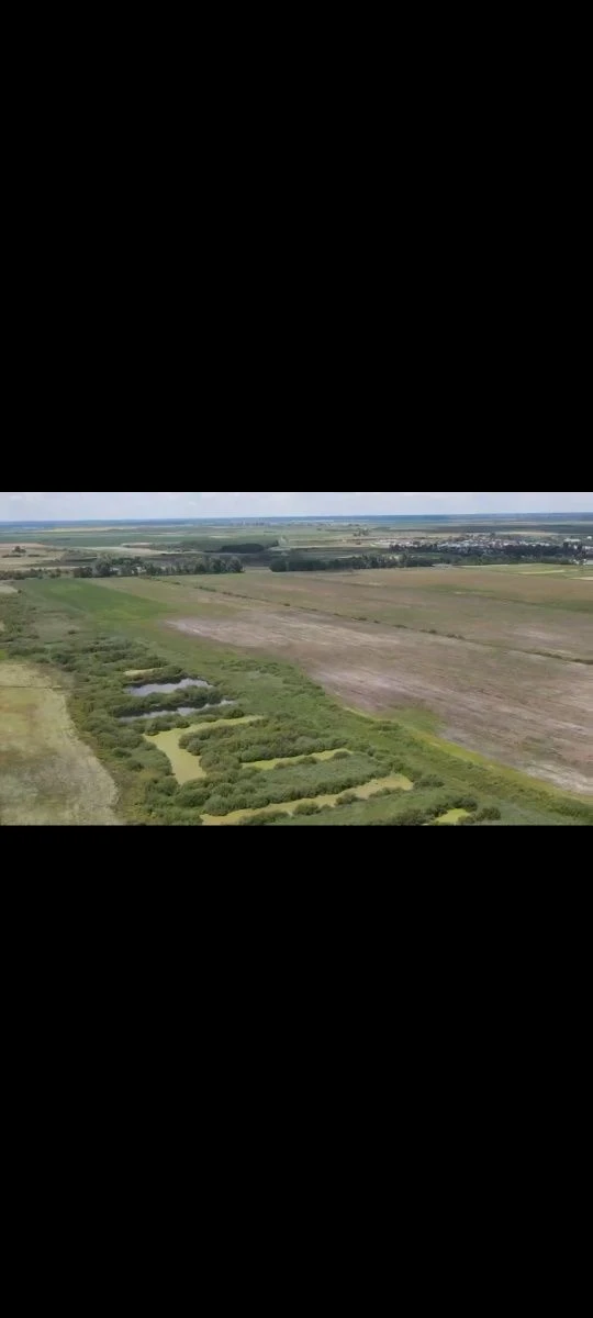 Продаж землі  Рівеньска обл. под ягоду, траву . є канали 100