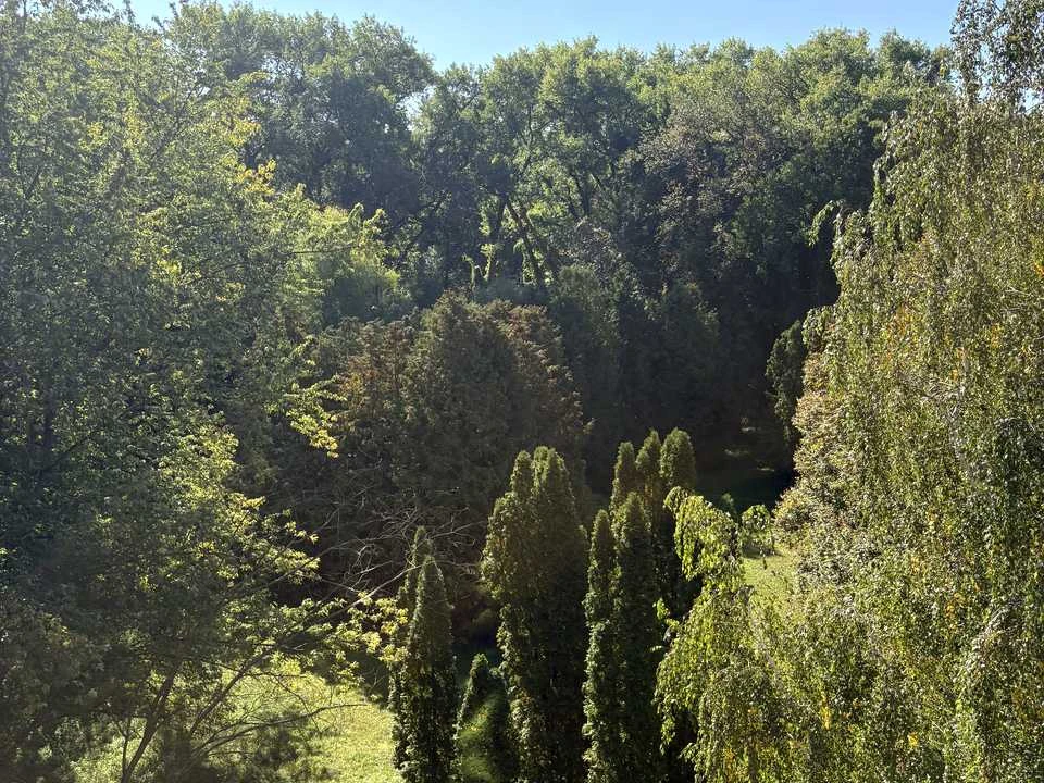 Квартира. Чернігів, Шевченка вул.
